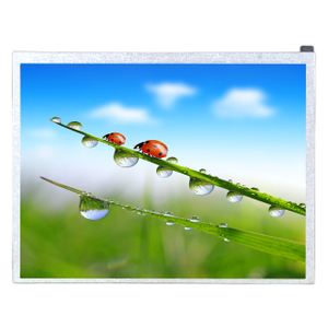 Toroson 10.4inches TFT-LCD Module 800X600 350cd/m2 40pin LVDS IPS Display Module