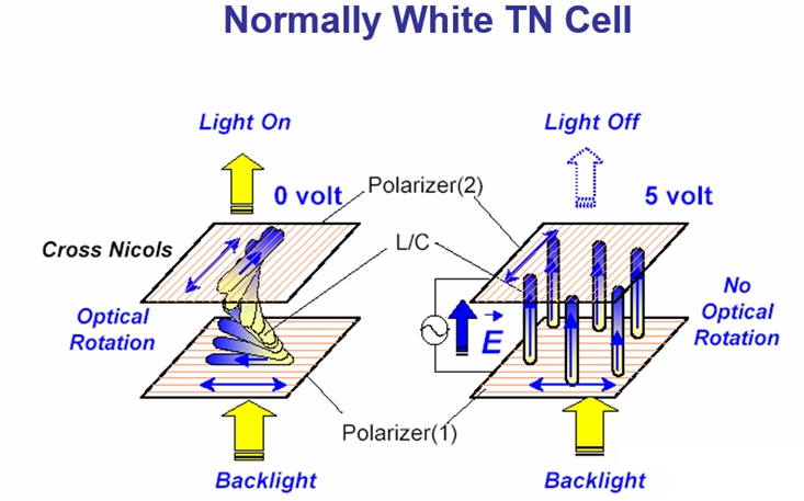 TN TFT LCD Display.jpg